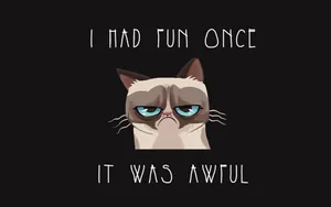 Annoyed Cartoon Cat Expressing Dissatisfaction Wallpaper