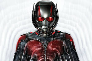 Ant Man In Studio Wallpaper