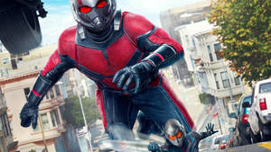 Ant Man On Streets Wallpaper