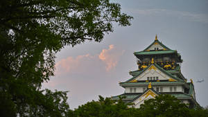 Antiquated Osaka Castle Wallpaper