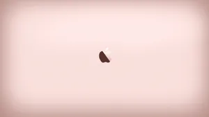 Apple 4k Ultra Hd Rose Gold Wallpaper