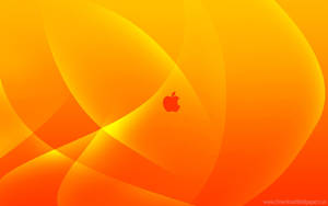 Apple Icon In Orange Cover Wallpaper