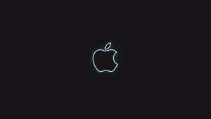 Apple Logo 4k With White Borders Wallpaper