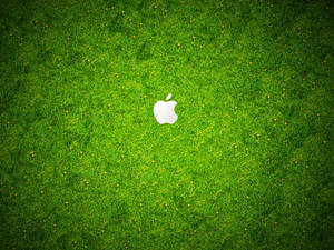 Apple Logo On Grass Wallpaper