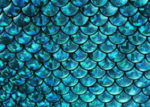 Aqua Mermaid Scales Wallpaper