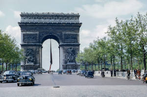 Arc De Triomphe Plants Wallpaper