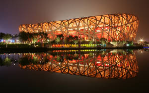 Architecture Bird's Nest Wallpaper