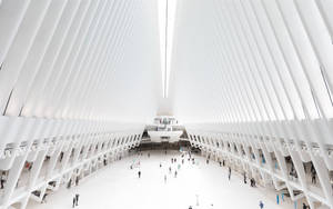 Architecture Oculus Wtc Station Wallpaper