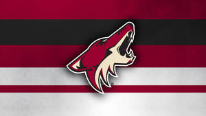 Arizona Coyotes On Flag Wallpaper