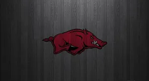 Arkansas Razorbacks Wallpapers Arkansas Razorbacks Wallpapers Wallpaper