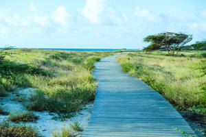 Aruba Boardwalk Landscape Wallpaper