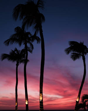 Aruba Dusky Beach Wallpaper