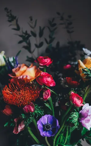 Assorted Colorful Flowers In Bloom Wallpaper