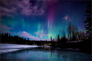 Aurora Borealis Northern Lights Forest Wallpaper