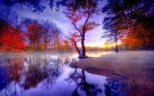Autumn Fall Scenery Sunset Wallpaper