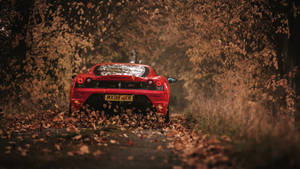 Autumn Ferrari Supercar Wallpaper