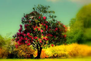 Autumn Flowering Tree Wallpaper