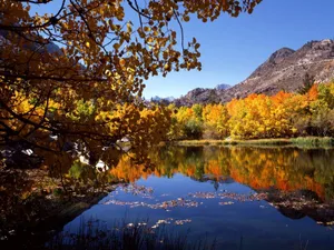 Autumn Lake And Colorful Trees Wallpaper