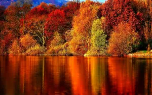 Autumn Lake And Colorful Trees Wallpaper