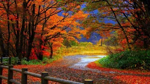 Autumn Leaves On A Path With A Fence Wallpaper