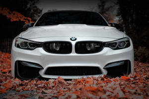 Autumn Leaves White Bmw Laptop Wallpaper