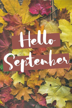 Autumn Leaves With Hello September Greeting Wallpaper
