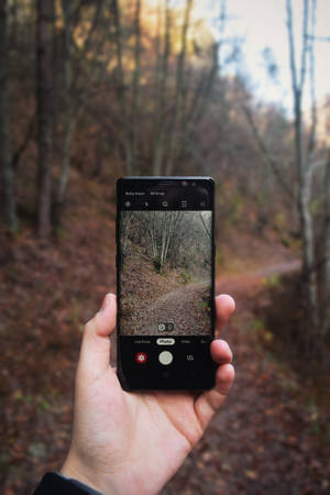 Autumn Phone On Man's Hand Wallpaper