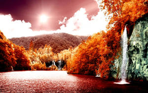 Autumn Season Sunshine Wallpaper