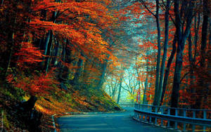Autumn Winding Road And Red Trees Wallpaper
