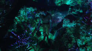 Avatar Pandoradark Forest Wallpaper