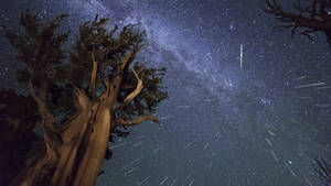 Awesome Hd Meteor Shower Art Wallpaper