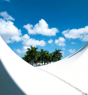 Azure Sky And Palm Trees Wallpaper