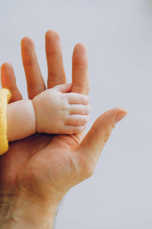 Baby Adult Hands Wallpaper