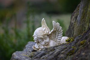 Baby Angel Sculpture Wallpaper