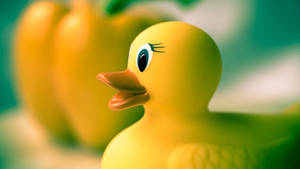 Baby Duck Toy Wallpaper