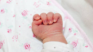 Baby Hand Curled Into A Ball Wallpaper