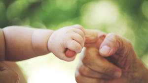 Baby Hand Grabbing On A Finger Wallpaper