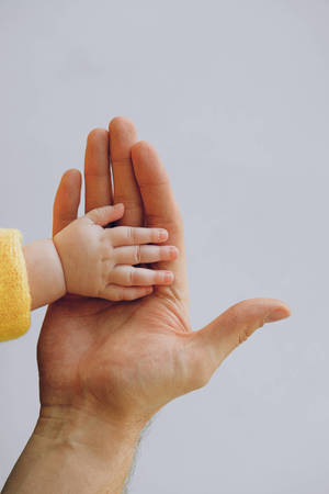 Baby Hand On A Palm Wallpaper