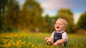 Baby In Yellow Field Wallpaper