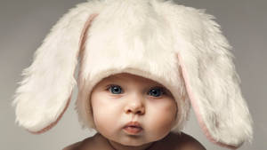 Baby Photography Wearing Bunny Ear Hat Wallpaper