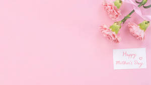 Baby Pink Carnations With Greetings Wallpaper