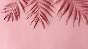 Baby Pink Leaves Aesthetic Wallpaper