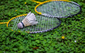 Badminton Shuttlecock On Bed Of Cloverleaves Wallpaper