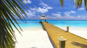 Bahamas Peaceful Island Wallpaper