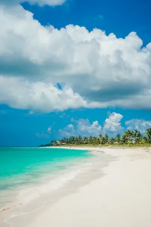 Bahamas White Sand Beach Wallpaper