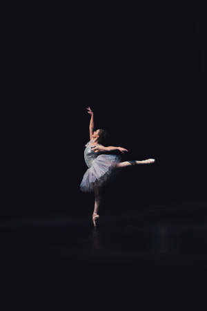 Ballet Dancer Masterpieces Royal New Zealand Wallpaper