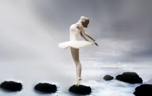 Ballet Dancer Standing On Rock Wallpaper