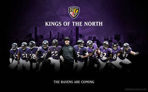 Baltimore Ravens Kings Of The North Wallpaper