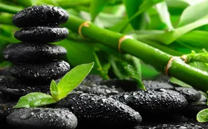 Bamboo And Zen Stones Therapy Wallpaper
