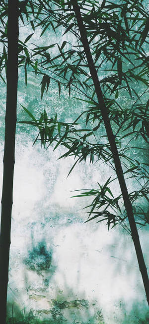 Bamboo In Smokey Forest Iphone Wallpaper